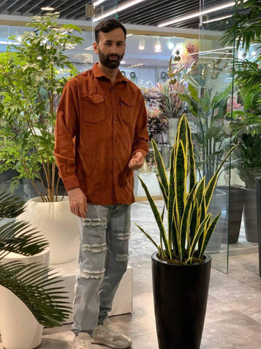 شاخه سانسوریا