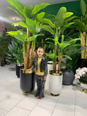 درختچه مصنوعی موز