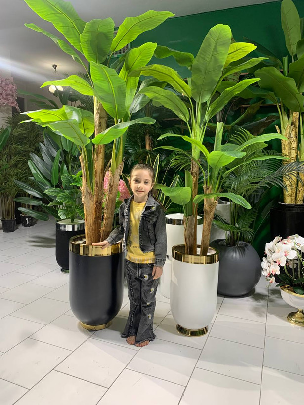 درختچه مصنوعی موز